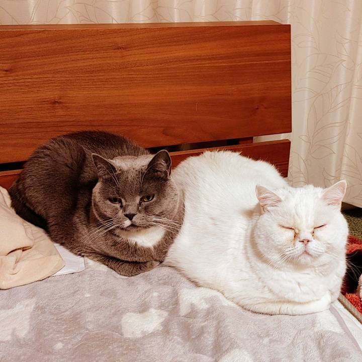 98e087d1 36b3 4541 9915 5379b6718805 1705101249654