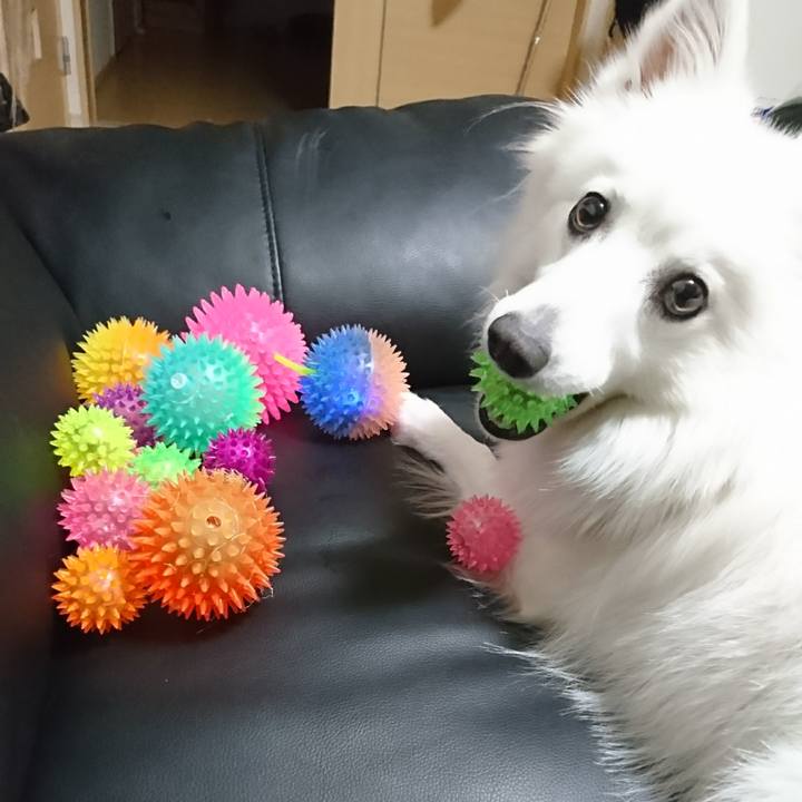 98e0e17e b66c 42b0 984e 7fd2e4062ad6 1518536109281