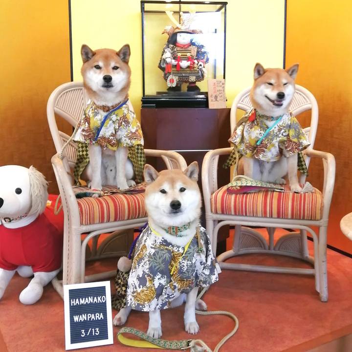 98e0fdb3 132b 4c52 939d a84567c2087a 1678863073299