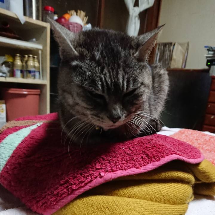 98e15997 a8a9 47d3 95f2 8574102fef5a 1552942772184