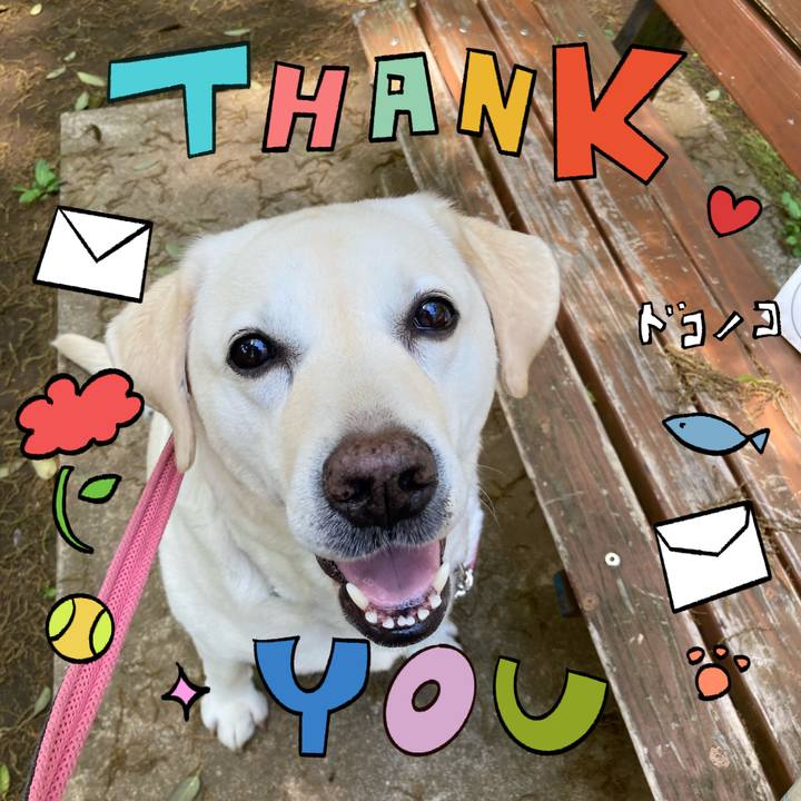 98e15d55 3821 4895 afaf e76a25707e72 1715378799192