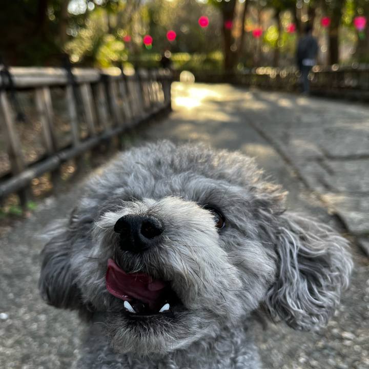 98e15ef3 4a06 4940 be2a 56bb34c63c79 1773569512323