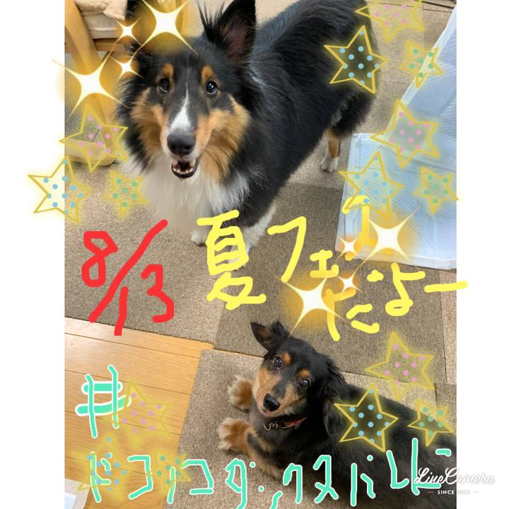 98e1a1c6 7ee8 49ff 95e8 637bc58a247f 1596752749296