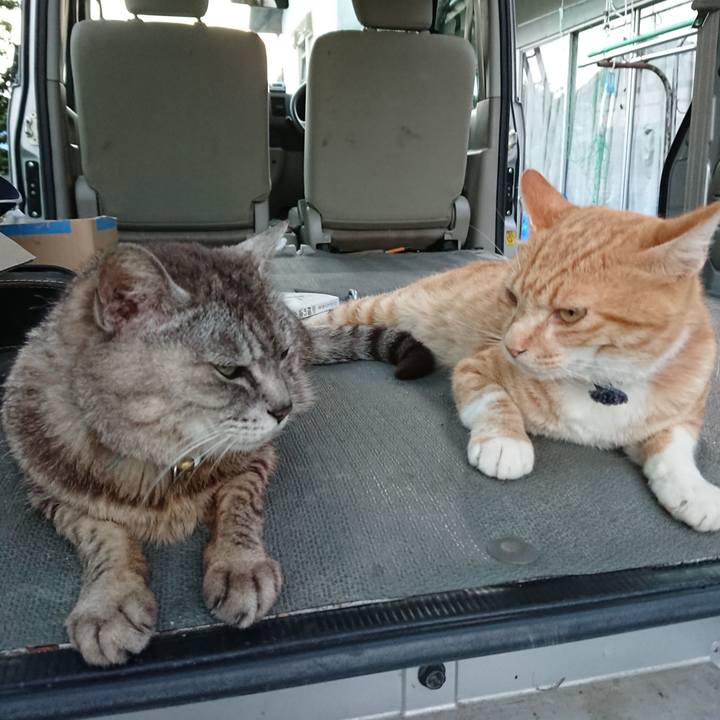 98e1b7f9 0fd5 496a 89cb c93af96b8acb 1564308299750