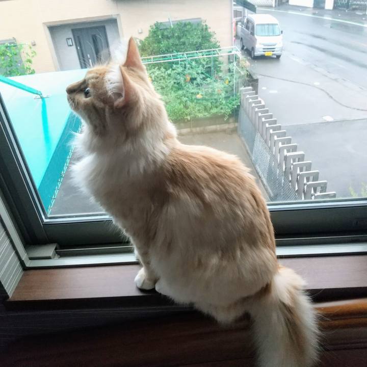 98e1c9d4 e79e 418b 9522 6d4f566bb330 1625435779812