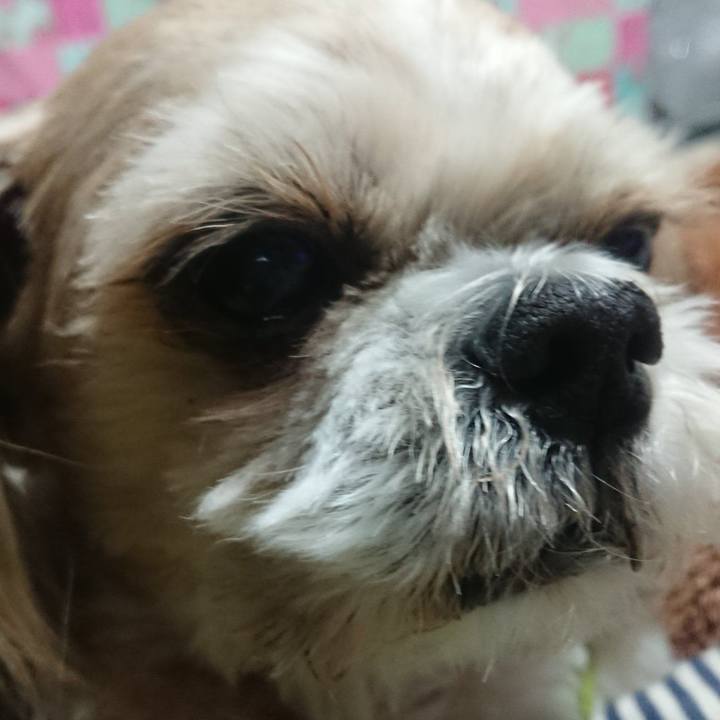 98e1ecc5 35c9 48c0 8cc8 8177ab75e6c4 1613126045593