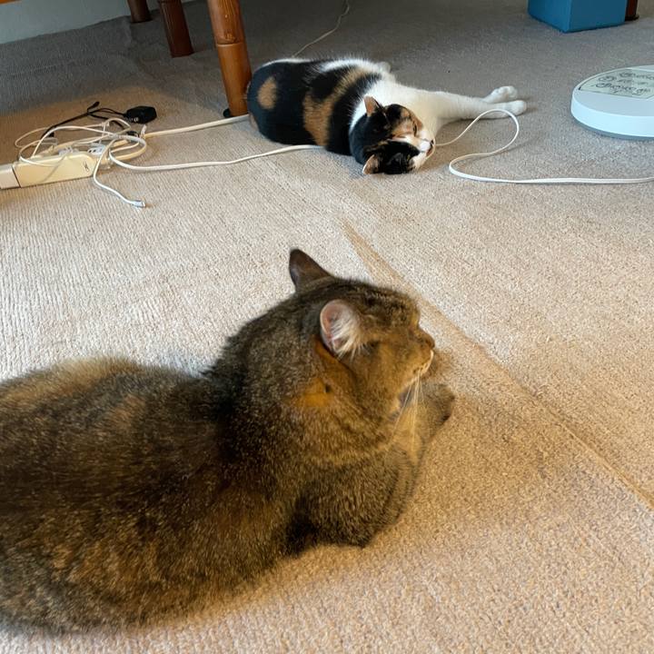 98e258dc cbd0 4d14 a088 9f372d583b5b 1750201669880