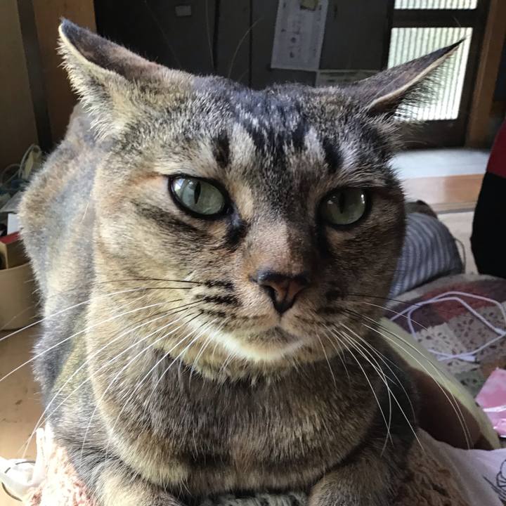 98e27100 9cb3 43b9 aa6a 4f6c0288d3fd 1682684775645