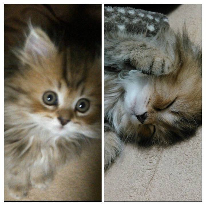 98e274ad 577b 45af 8e2c aa082b2c6b09 1661402564012