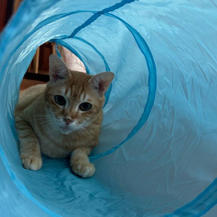 98e282ab 5edd 425e 9672 b6b2e68811a0 1687673858398