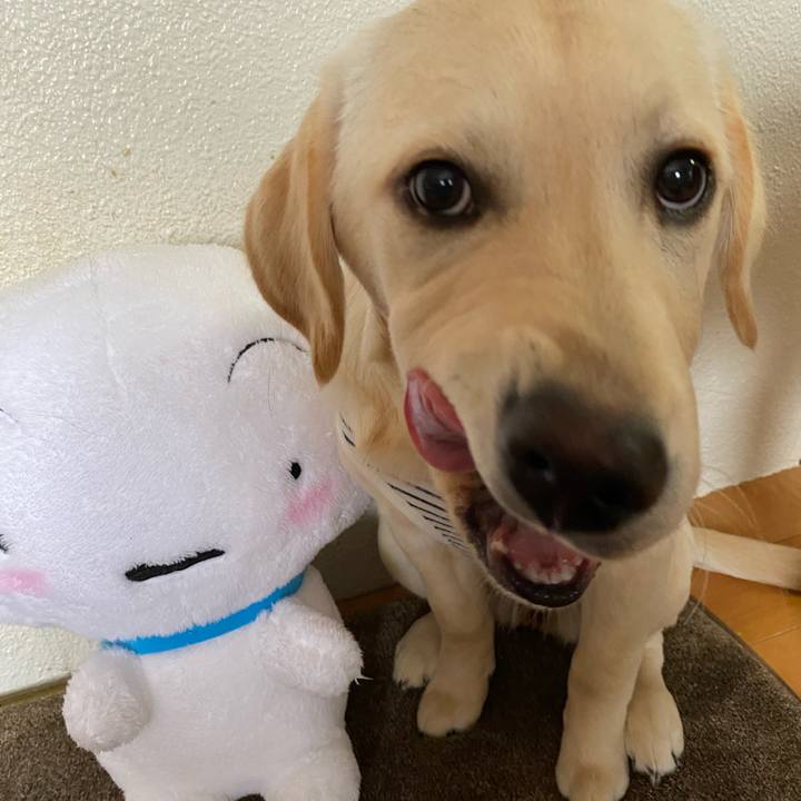 98e282ac 0e02 4b91 a851 ac2d89ff9d5f 1617598413240