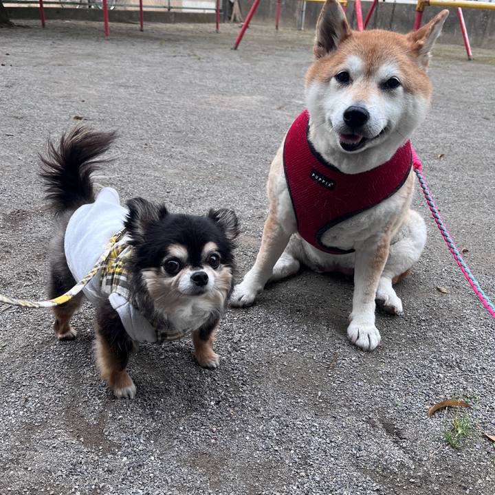 98e2b27e da4c 4f81 8028 4448f593674b 1716448505307