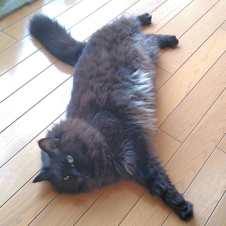 98e2bab9 a0d1 4fef bc5b 177c97ff0105 1718321632672