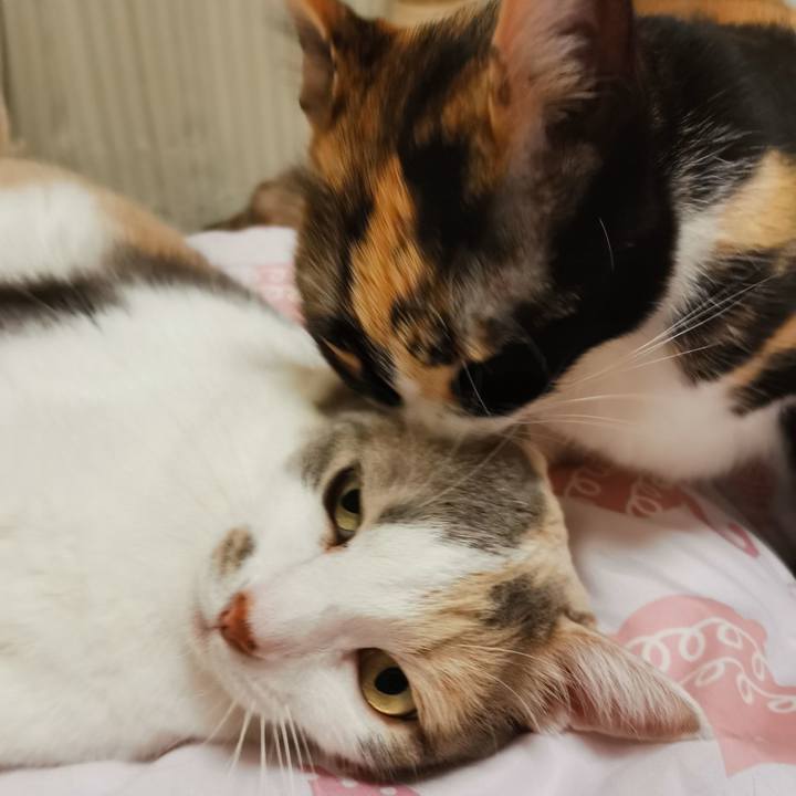 98e2d9c9 d6dc 4762 82e1 42ff067e5eb4 1621434245254