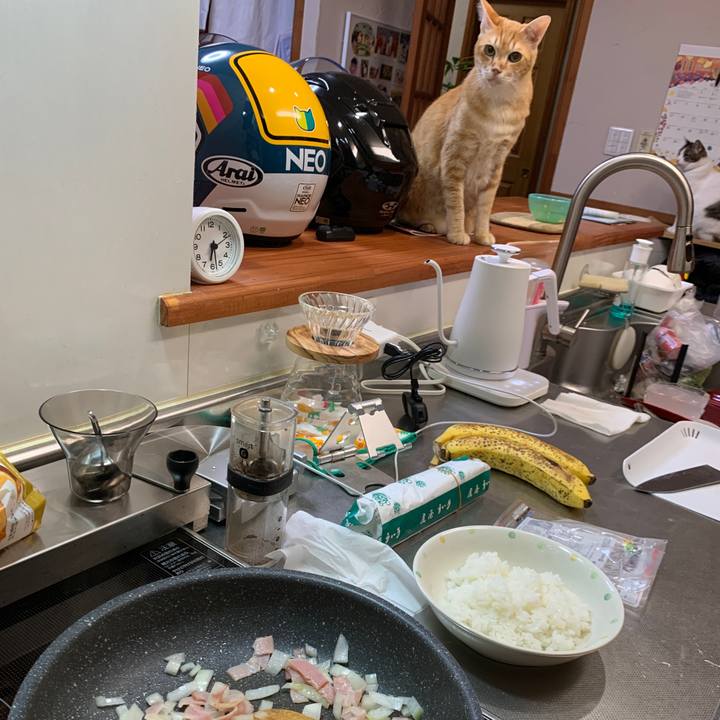 98e2dbf0 76b7 4366 910e ef6682d31f44 1667598969657