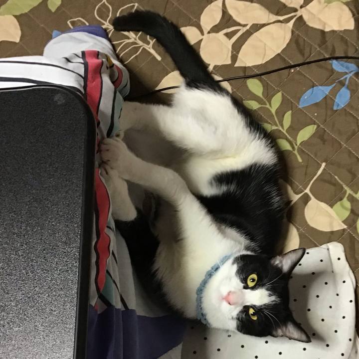 98e2eba4 b00b 4924 9171 c8850c8dede1 1665035955962