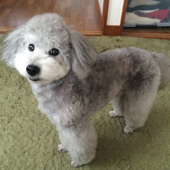 98e2ed07 d79f 4060 b717 1bfade9a22ca 1727673150593