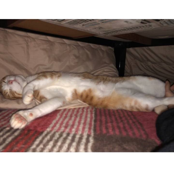 98e2f383 8514 439d bb60 8f6e54536ad0 1546951124753