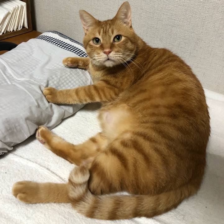 98e30f88 3b5c 442a b5a9 fd0e698452e6 1612214603753