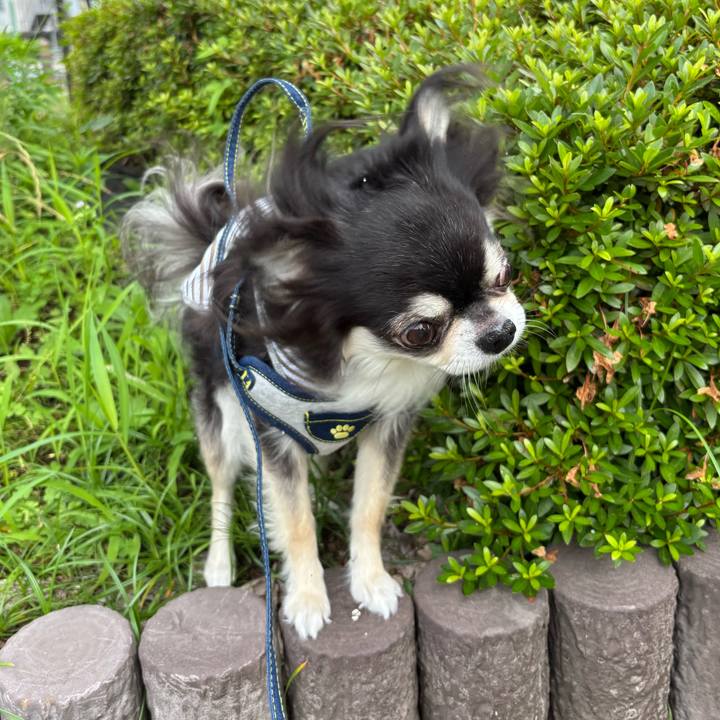 98e31fe2 23b9 42be b22f 2c453c42e394 1749919387472