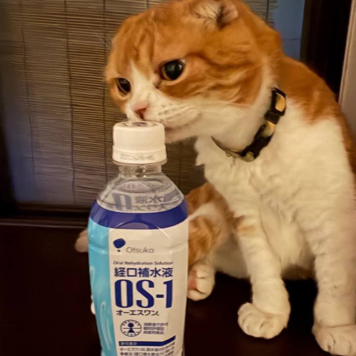98e337f3 b0d3 45cf a0c9 2bdab59946db 1785672785889