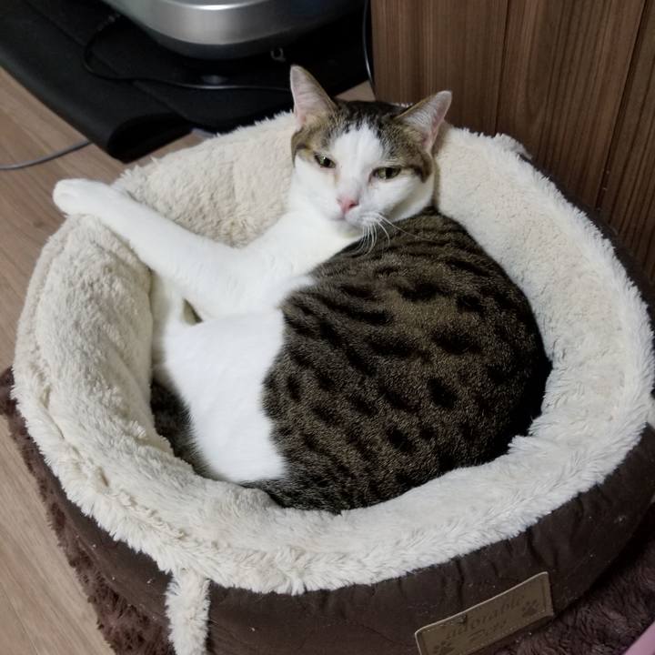 98e37e22 c14e 4e52 8125 4954b9a41713 1605131231488