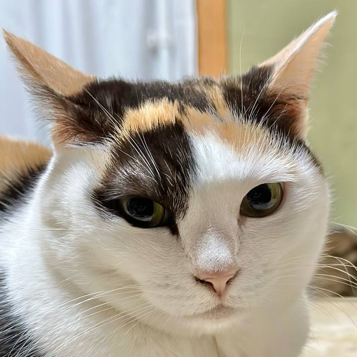 98e39678 ec55 4c56 9cb0 4787205026bd 1679367658571