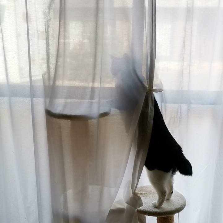 98e3d9bc 91d0 47be a686 e4e300585722 1607762075096