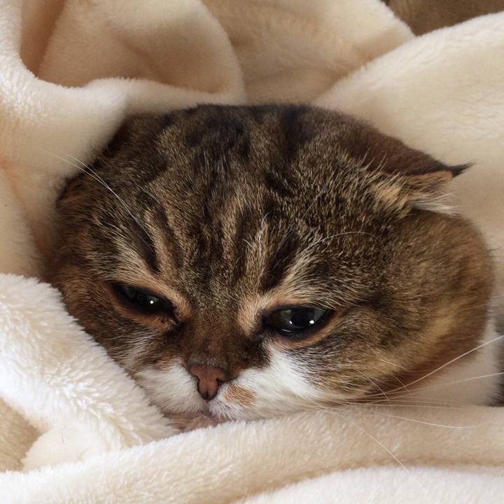 98e3de67 d40d 497d 80f8 fb8008be224c 1536033244329