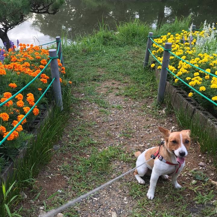 98e3e0c1 19e5 4fea 94d4 b129d191b6e0 1627685383521