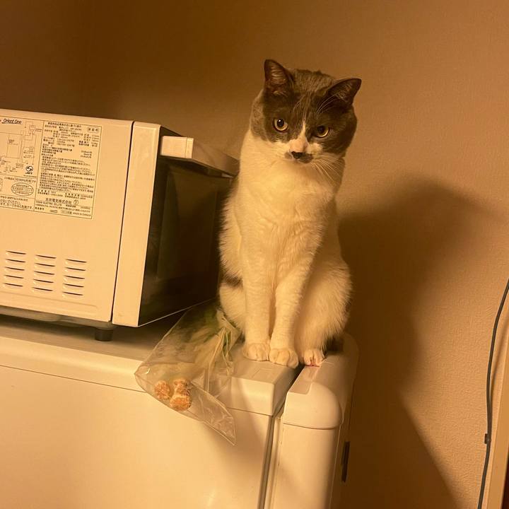 98e3ef21 6b69 42f8 ba79 758da2c26513 1706952401043