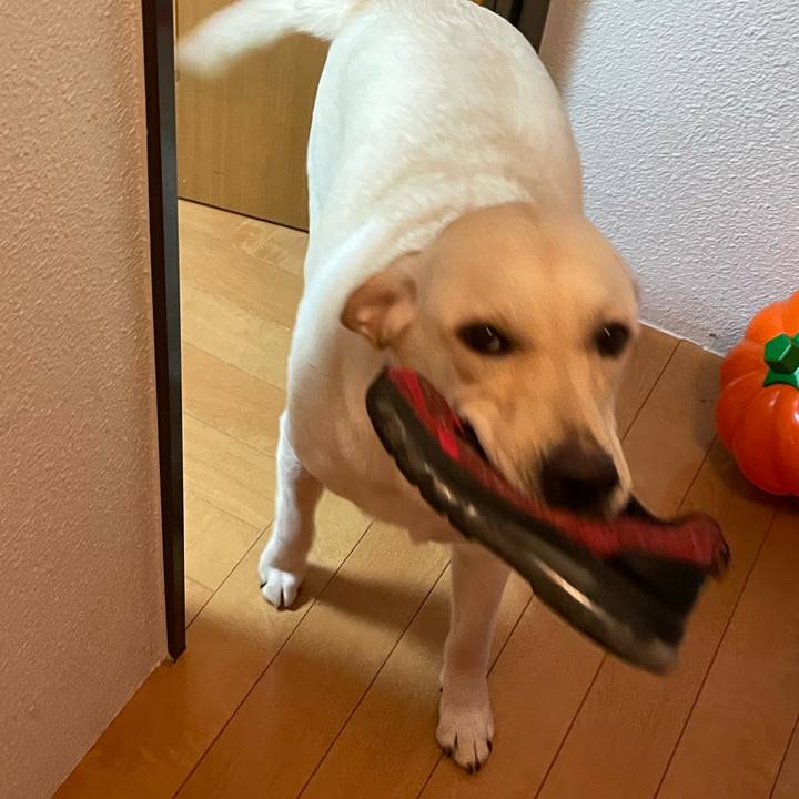 98e3f268 e5c4 4e72 97c8 e8c7f67e557e 1642112604149