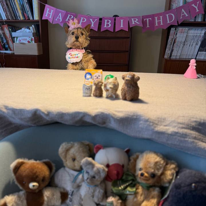 98e3f3ce 0059 42d3 ad55 f904f75208a7 1773875623180