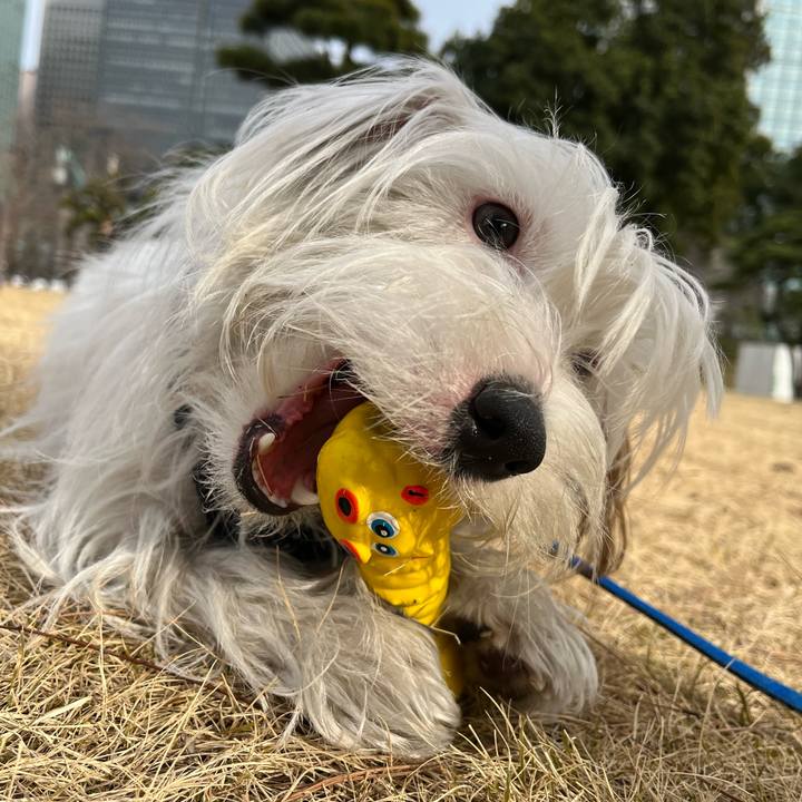 98e3f4e8 7e2b 4ba4 97e4 3f656622b3bb 1739692730452