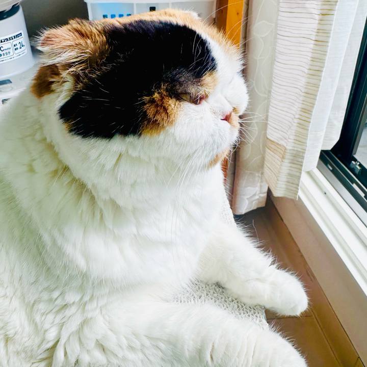 98e3f708 8fa1 4bf8 8556 6042ee10c380 1728352151164