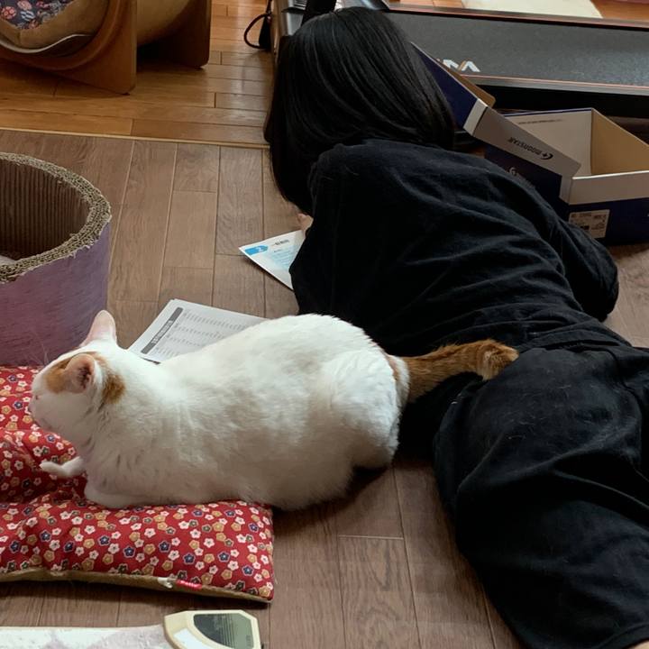 98e4107f 995f 4c8f 8dbe 5768f7b40aaa 1647760961191