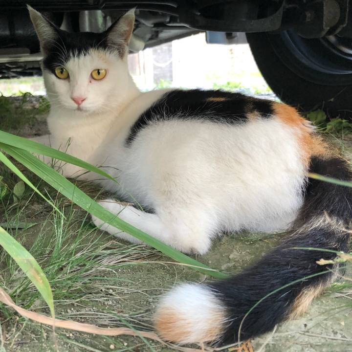 98e43a66 49d4 4a73 98dc 2a2b139285be 1598880029494