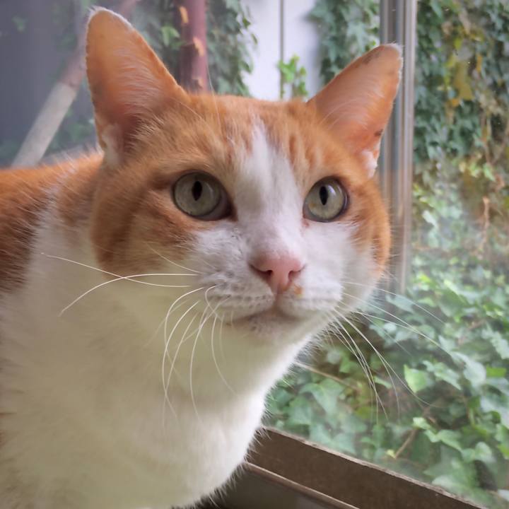 98e44aa2 9965 4623 aaef d439b880b53b 1574924076674