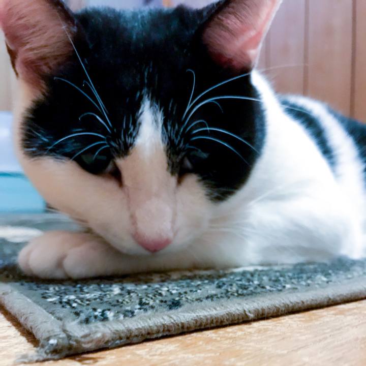 98e4cb47 c6d5 4d42 867f c02412d5e3c3 1511572282170