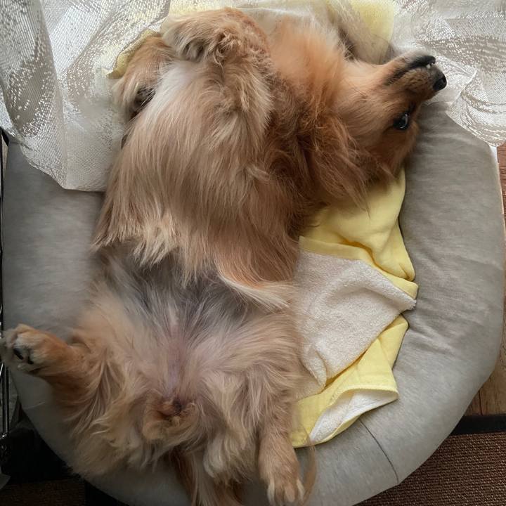 98e4dd81 dbf1 4934 894c 6edf0aa1f7d3 1633382936891