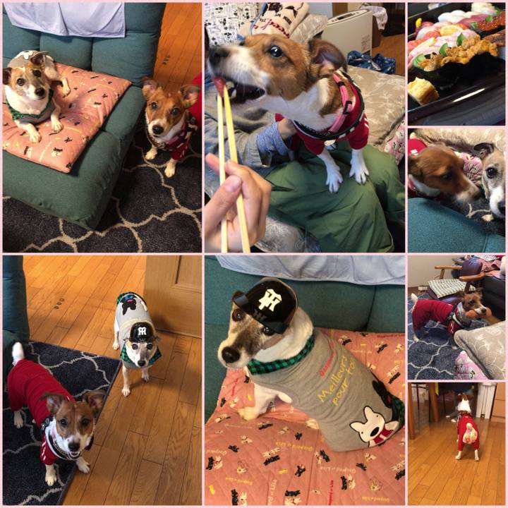 98e4eef2 b32d 4476 9e8c 15fbca020fe6 1508588776427