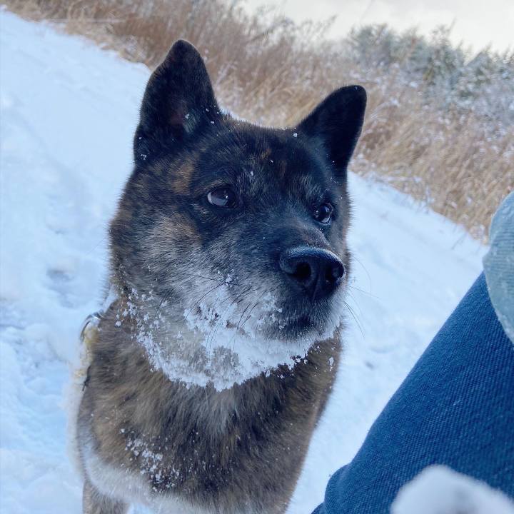 98e5125c c726 4fff b572 828181bdd4f0 1609465872127