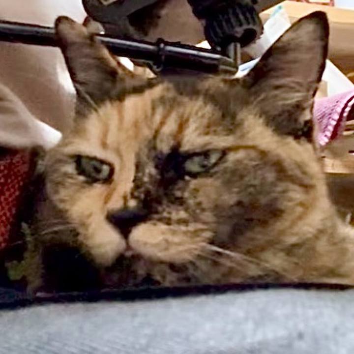 98e52a76 4eba 4580 870d 77128333415b 1752804448534