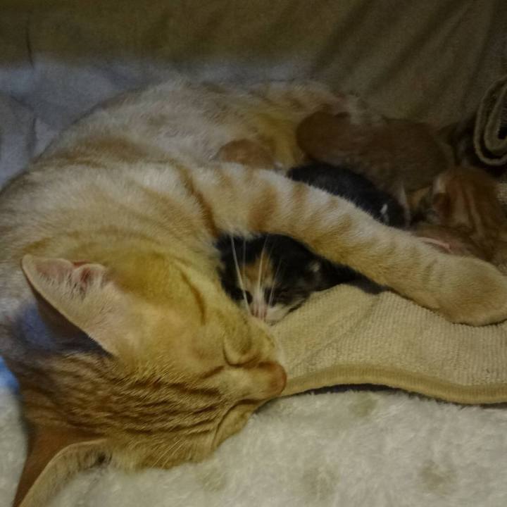 98e5a599 35da 4f16 ab79 0b2de53de176 1557049077361