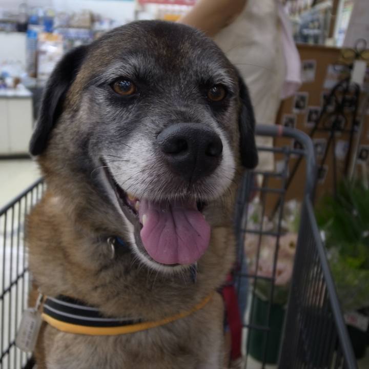 98e5db51 a8a1 400b 9594 1e0639bc25f2 1582594025467