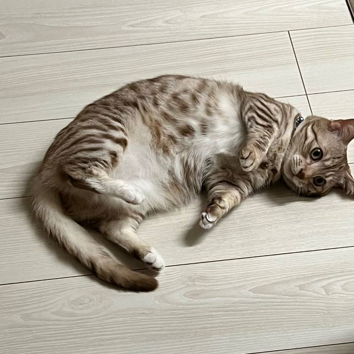 98e63afc 1cef 4482 8dbe a4ada7237c3a 1682069727258