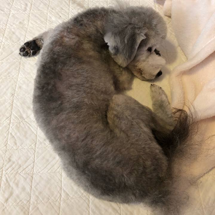 98e64cbd 6815 4acc b8c0 56560c66a240 1564744356497