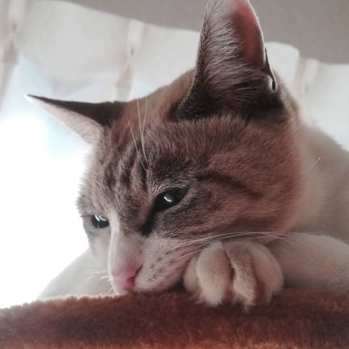 98e6bcf1 2d8f 4b95 aa61 850948e2623a 1541143914094