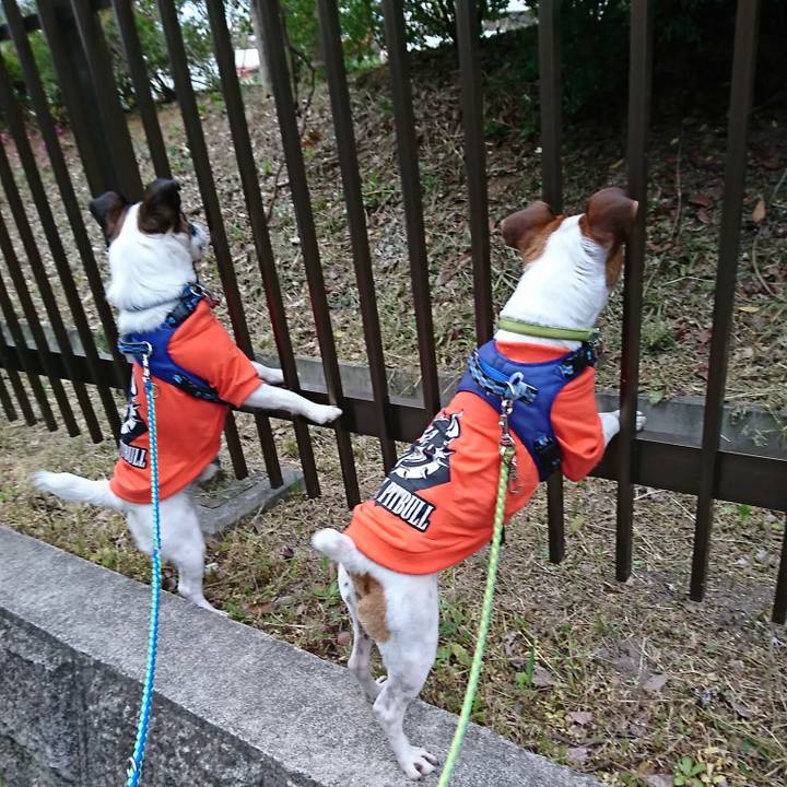 98e6c582 2a47 4aca b77c badfbe4155c7 1588502104435