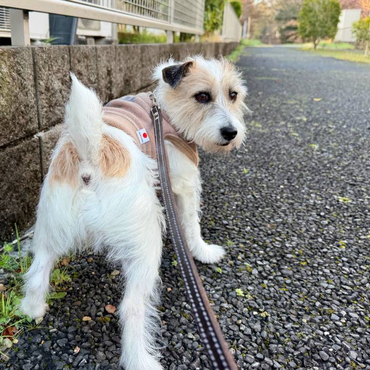 98e6e71d 6f51 4d18 9969 14b50f7f6d34 1774646942571